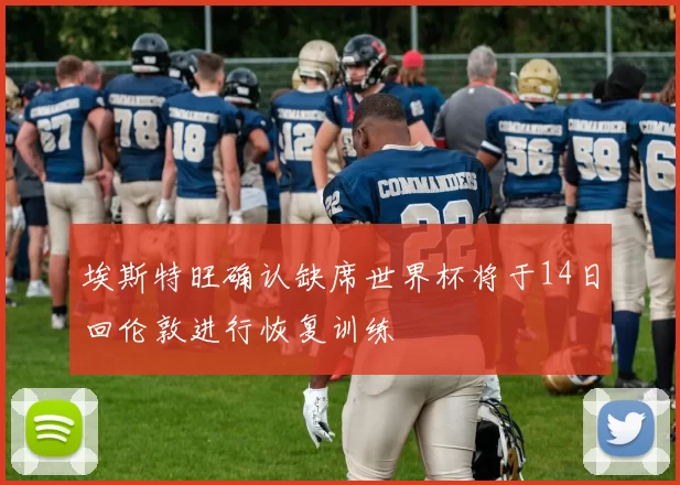 埃斯特旺确认缺席世界杯将于14日回伦敦进行恢复训练
