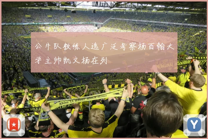 公牛队教练人选广泛考察杨百翰大学主帅凯文杨在列