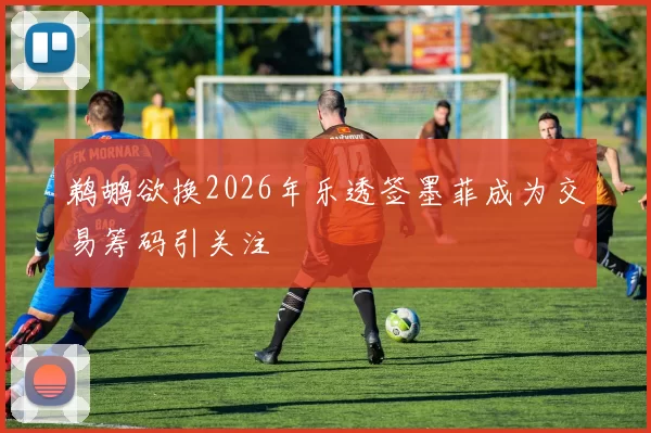 鹈鹕欲换2026年乐透签墨菲成为交易筹码引关注